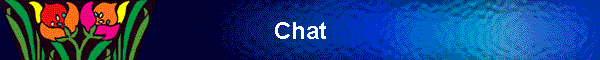 Chat